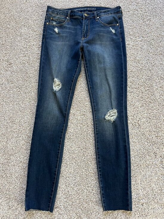 Articles Of Society Denim - Articles of Society Distressed Jeans | Women's Size 28